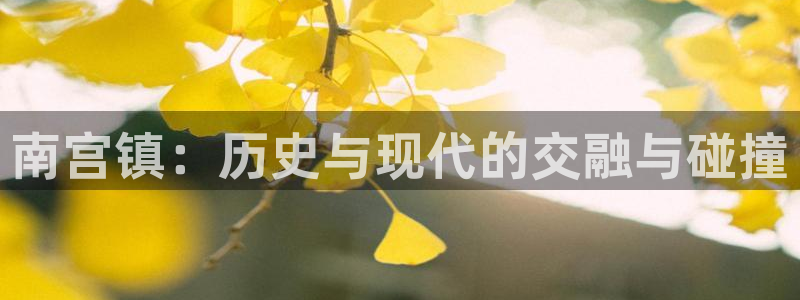 新航娱乐集团官网：南宫镇：历史与现代的交融与碰撞