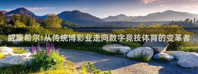 新航娱乐体育3在线注册：威廉希尔:从传统博彩业走向数字竞技体育的变革者