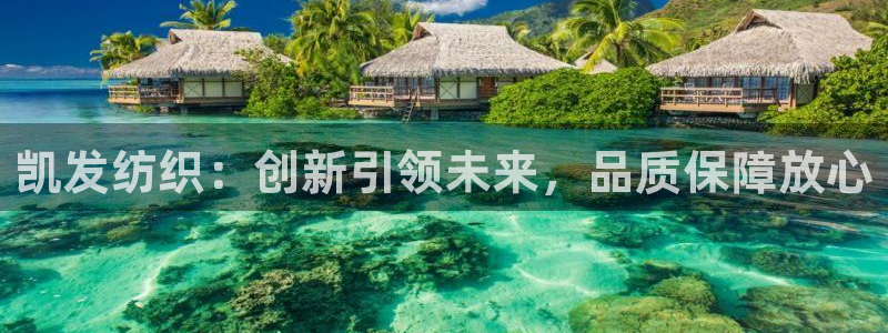 新航娱乐体育注册平台：凯发纺织：创新引领未来，品质保障放心