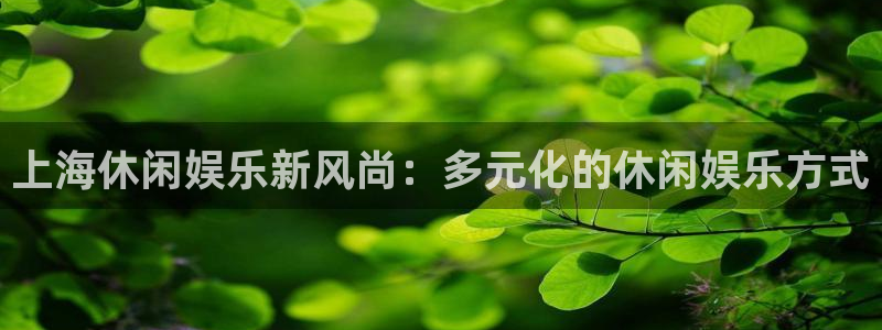 新航娱乐平台主管：上海休闲娱乐新风尚：多元化的休闲娱乐方式