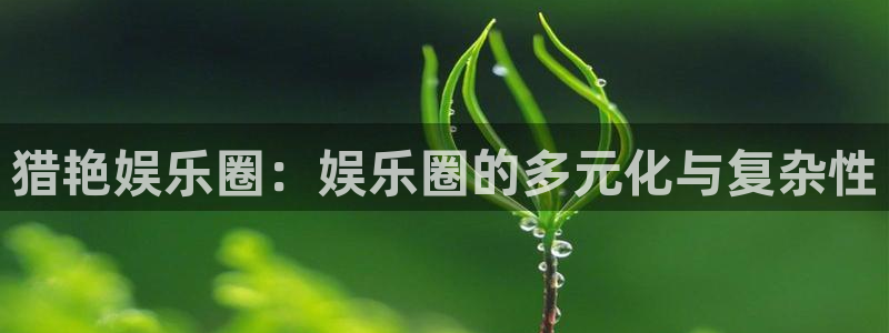 新航娱乐体育f开户：猎艳娱乐圈：娱乐圈的多元化与复杂性
