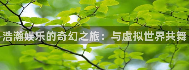佛山市南海新航娱乐机电仪器有限公司：浩瀚娱乐的奇幻之旅：与虚拟世界共舞