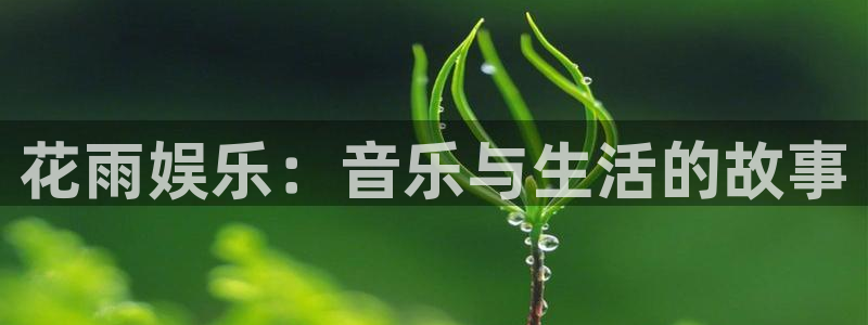 新航娱乐4代理：花雨娱乐：音乐与生活的故事