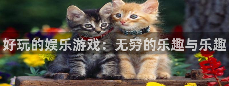 新航娱乐官网入口：好玩的娱乐游戏：无穷的乐趣与乐趣
