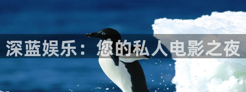 新航娱乐平台主管