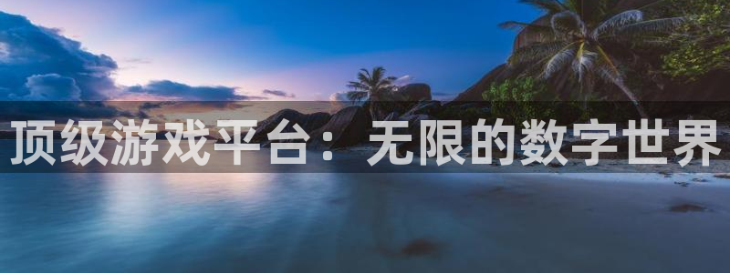 新航娱乐体育网页版入口