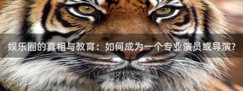 新航娱乐平台注册入口：娱乐圈的真相与教育：如何成为一个专业演员或导演?