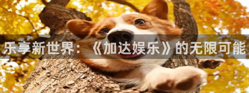 新航娱乐4开户：乐享新世界：《加达娱乐》的无限可能