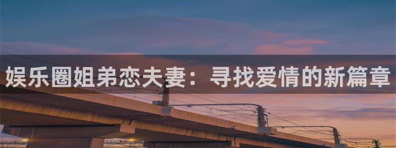 新航娱乐电子有限公司：娱乐圈姐弟恋夫妻：寻找爱情的新篇章