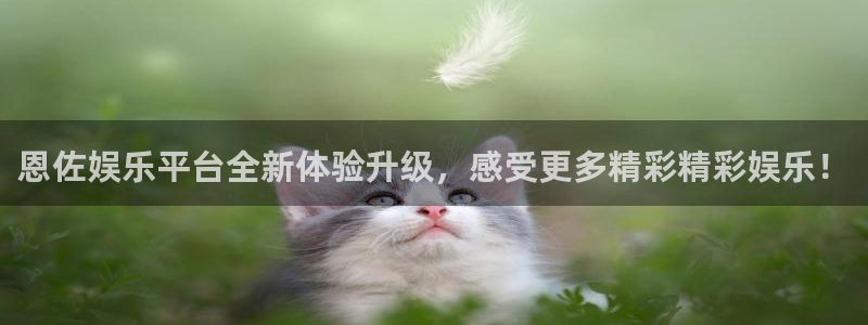 新航娱乐2登录入口：恩佐娱乐平台全新体验升级，感受更多精彩精彩娱乐！