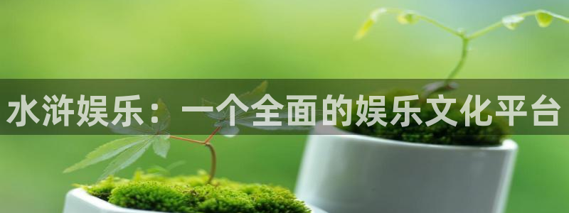 新航娱乐平台在线开户：水浒娱乐：一个全面的娱乐文化平台