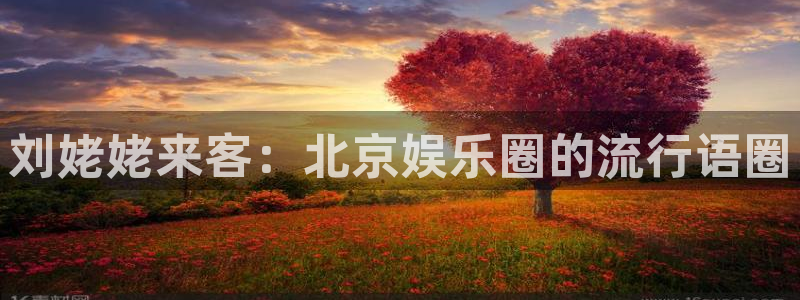 新航娱乐3：刘姥姥来客：北京娱乐圈的流行语圈